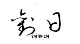 梁锦英刘日草书个性签名怎么写