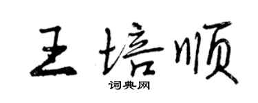 曾庆福王培顺行书个性签名怎么写