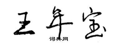 曾庆福王年宝行书个性签名怎么写