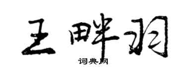 曾庆福王畔羽行书个性签名怎么写