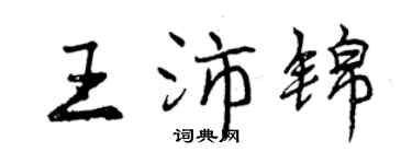 曾庆福王沛锦行书个性签名怎么写