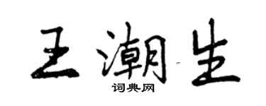 曾庆福王潮生行书个性签名怎么写