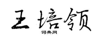 曾庆福王培领行书个性签名怎么写