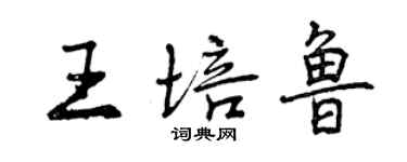曾庆福王培鲁行书个性签名怎么写