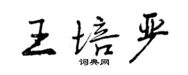 曾庆福王培严行书个性签名怎么写