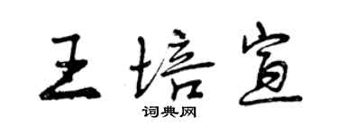 曾庆福王培宣行书个性签名怎么写