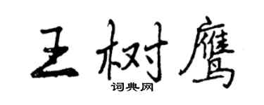 曾庆福王树鹰行书个性签名怎么写