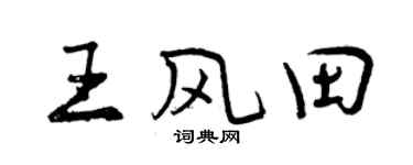 曾庆福王风田行书个性签名怎么写