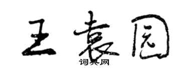 曾庆福王袁园行书个性签名怎么写