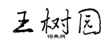 曾庆福王树园行书个性签名怎么写