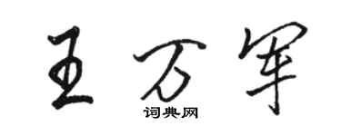 骆恒光王万军行书个性签名怎么写