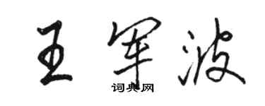 骆恒光王军波行书个性签名怎么写