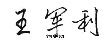 骆恒光王军利行书个性签名怎么写