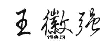 骆恒光王徽强行书个性签名怎么写
