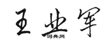 骆恒光王业军行书个性签名怎么写