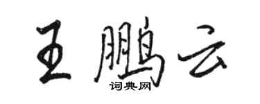 骆恒光王鹏云行书个性签名怎么写