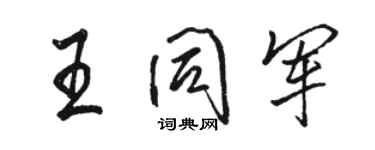 骆恒光王同军行书个性签名怎么写