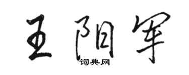 骆恒光王阳军行书个性签名怎么写