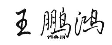 骆恒光王鹏鸿行书个性签名怎么写