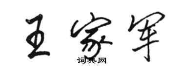 骆恒光王家军行书个性签名怎么写