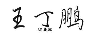 骆恒光王丁鹏行书个性签名怎么写