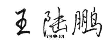 骆恒光王陆鹏行书个性签名怎么写