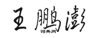 骆恒光王鹏澎行书个性签名怎么写