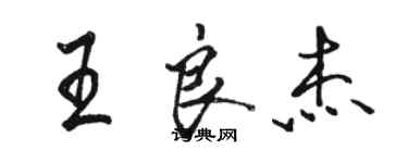 骆恒光王良杰行书个性签名怎么写