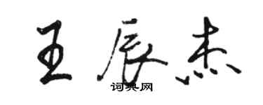 骆恒光王辰杰行书个性签名怎么写