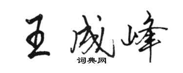 骆恒光王成峰行书个性签名怎么写