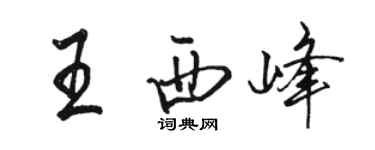 骆恒光王西峰行书个性签名怎么写