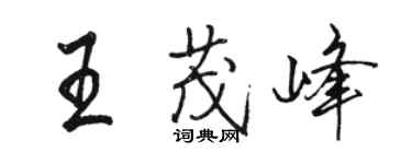 骆恒光王茂峰行书个性签名怎么写