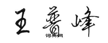 骆恒光王普峰行书个性签名怎么写