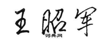 骆恒光王昭军行书个性签名怎么写