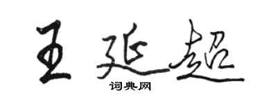 骆恒光王延超行书个性签名怎么写