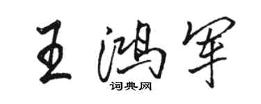 骆恒光王鸿军行书个性签名怎么写