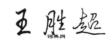 骆恒光王胜超行书个性签名怎么写