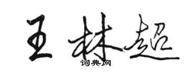 骆恒光王林超行书个性签名怎么写
