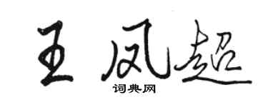 骆恒光王凤超行书个性签名怎么写