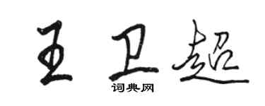 骆恒光王卫超行书个性签名怎么写
