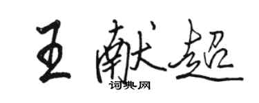 骆恒光王献超行书个性签名怎么写