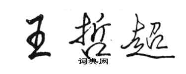骆恒光王哲超行书个性签名怎么写