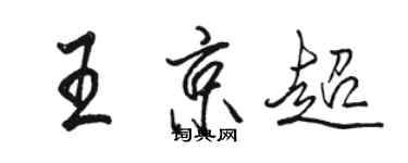 骆恒光王京超行书个性签名怎么写