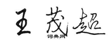 骆恒光王茂超行书个性签名怎么写
