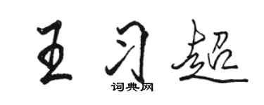 骆恒光王习超行书个性签名怎么写