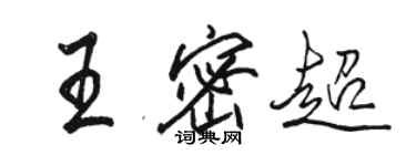 骆恒光王密超行书个性签名怎么写