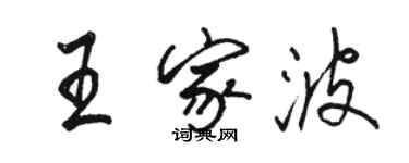 骆恒光王家波行书个性签名怎么写