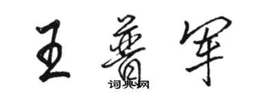 骆恒光王普军行书个性签名怎么写