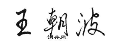 骆恒光王朝波行书个性签名怎么写