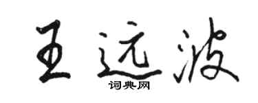 骆恒光王远波行书个性签名怎么写